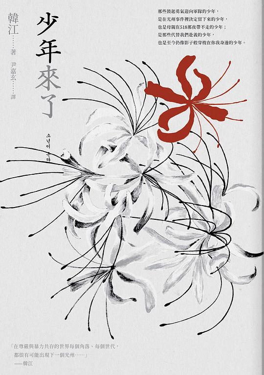 《少年来了》读后：那记耳光打在我脸上